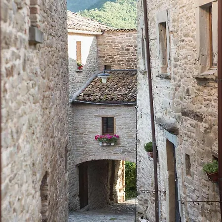 Palazzo Ducale Διαμέρισμα Mercatello sul Metauro